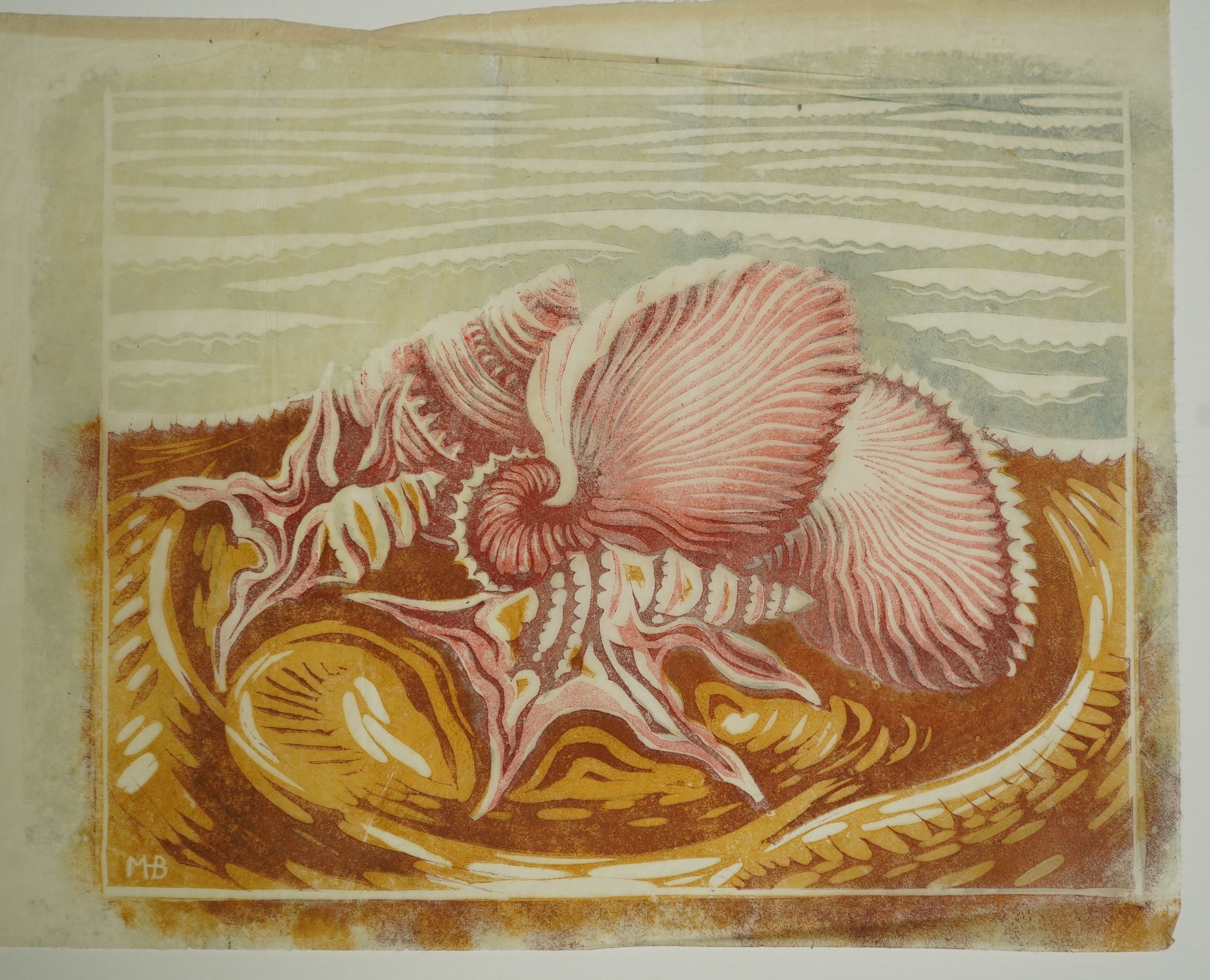 Margaret Barnard (British, 1900-1992), Seashells, linoleum cut printed in colours on tissue-thin oriental laid paper, 21 x 26cm